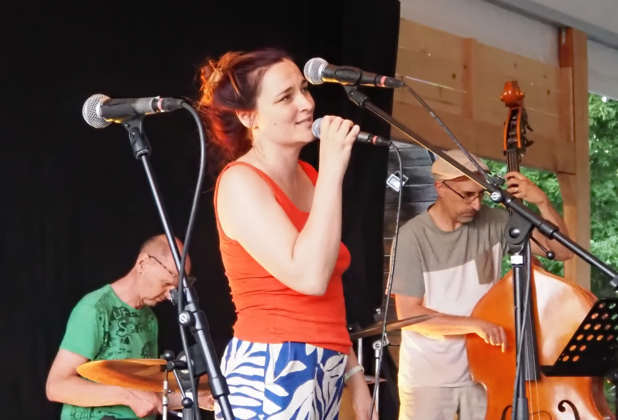 2026 07 14 Jams Plans d'Hotonnes (16)